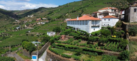 7 bedrooms House in Peso da Regua, Portugal No. 142774 6