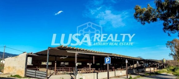 5000m² Commercial property in Barcelona, Spain No. 7375 12