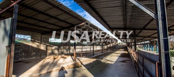 5000m² Commercial property in Barcelona, Spain No. 7375 15