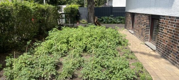 2 Schlafzimmer Haus in Rudow, Germany, Nr. 327511 10