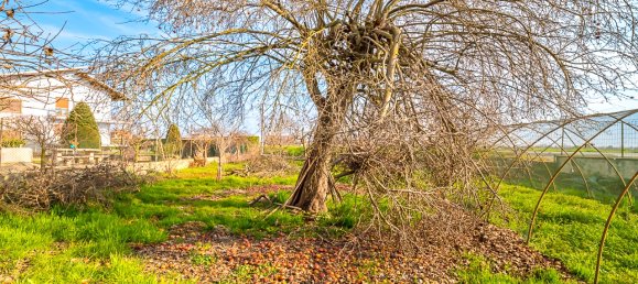 4 rooms House in Polonghera, Italy No. 38522 27