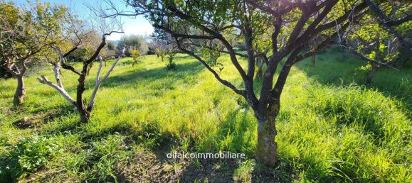 8 rooms Villa in Agrigento, Italy No. 115420 8