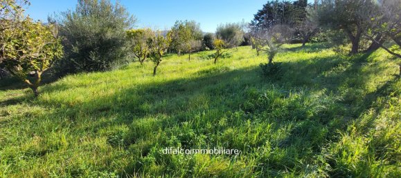 8 rooms Villa in Agrigento, Italy No. 115420 11