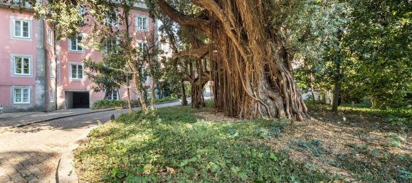 4 bedrooms Apartment in Porto, Portugal No. 123629 7