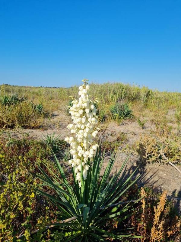 Terreno em Mont-Saint-Martin, France N.º 249896