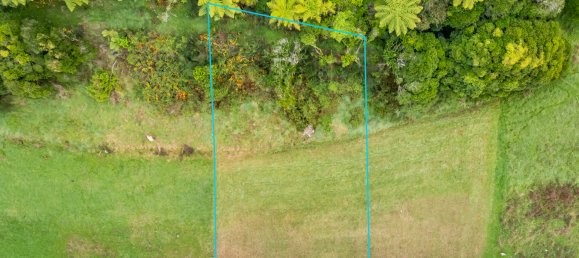 Terrain à Totara Park, New Zealand 662m² No. 148 11