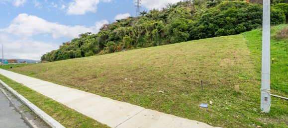 Terrain à Totara Park, New Zealand 662m² No. 148 10