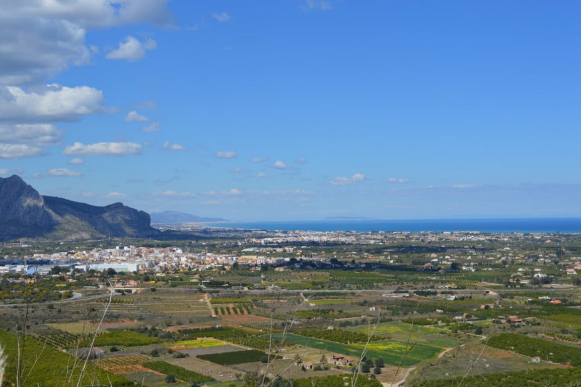  Land in Pedreguer, Spain No. 257496