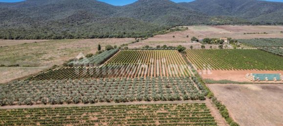 16 Schlafzimmer Haus in Grosseto, Italy, Nr. 305081 23