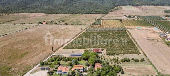 16 bedrooms House in Grosseto, Italy No. 305081 4