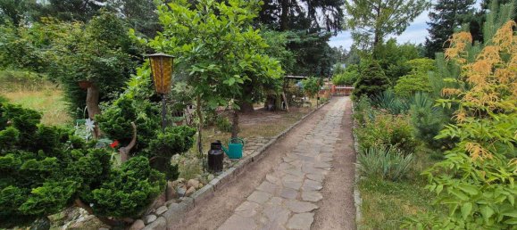 Casa de 3 divisões em Wittenberg, Germany N.º 363624 39