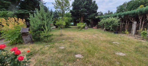 Casa de 3 divisões em Wittenberg, Germany N.º 363624 4