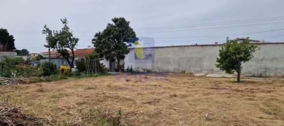 Terreno en Marinha Grande, Portugal 366 m² No. 168294 4