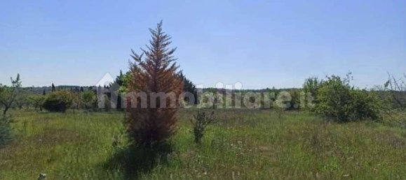 3 Schlafzimmer Villa in Andria, Italy, Nr. 263861 15