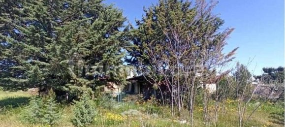 3 Schlafzimmer Villa in Andria, Italy, Nr. 263861 13