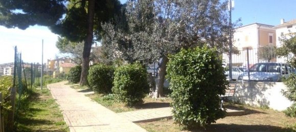 3-Zimmer Haus in Cupello, Italy, Nr. 233955 57