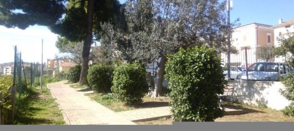 3-Zimmer Haus in Cupello, Italy, Nr. 233955 30