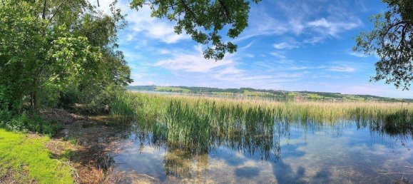  Land in Mattsee, Austria No. 237991 9