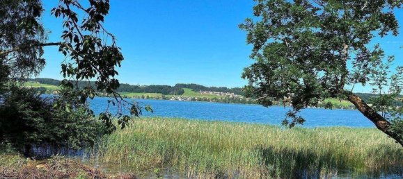  Land in Mattsee, Austria No. 237991 5