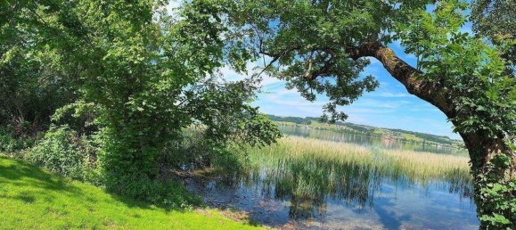  Land in Mattsee, Austria No. 237991 10