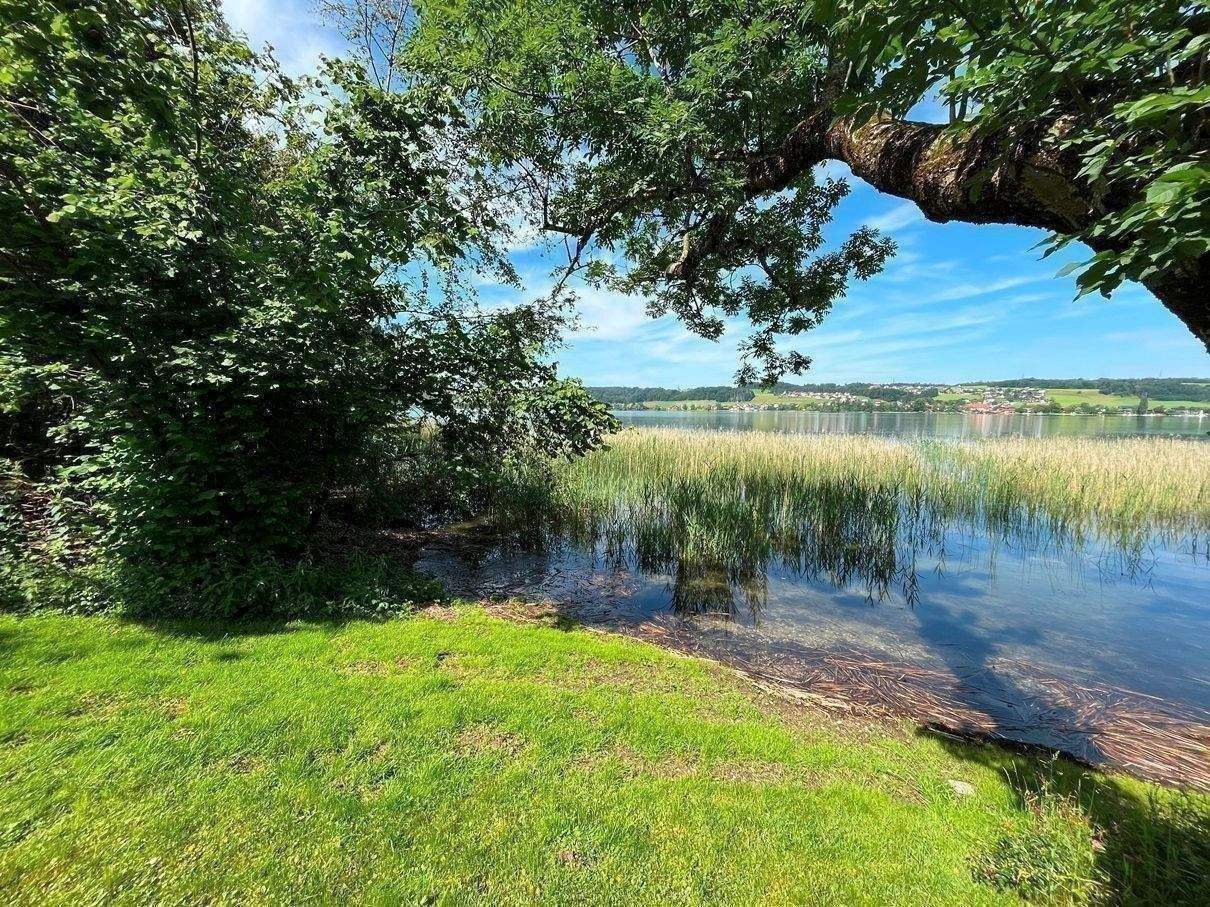  Land in Mattsee, Austria No. 237991