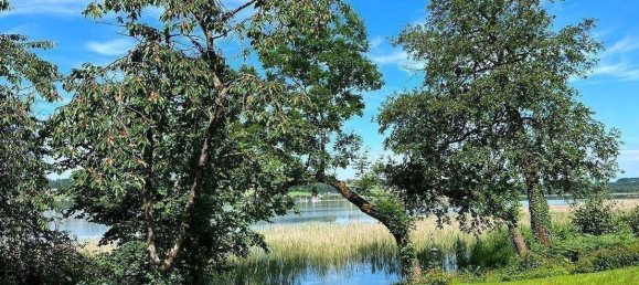  Land in Mattsee, Austria No. 237991 4