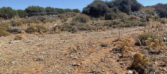 150000 m² terreno en venta en Neapoli, Agios Nikolaos, Lasithi, Crete, Greece № 93533 4