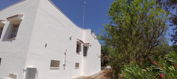 5-Zimmer Villa in Ostuni, Italy, Nr. 237942 8