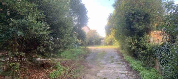 20 rooms Villa in Buggiano, Italy No. 75587 21