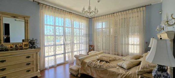 4 bedrooms Commercial property in Protaras, Cyprus No. 20149 13