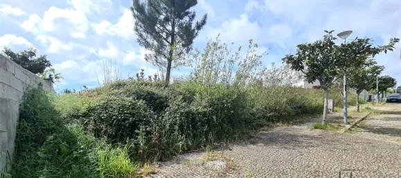  Land in Santa Maria da Feira, Portugal No. 77054 2