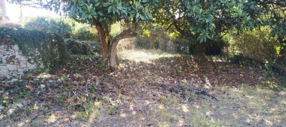 2 chambres Maison à Soure, Portugal No. 178957 19