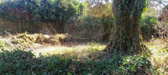 2 chambres Maison à Soure, Portugal No. 178957 23