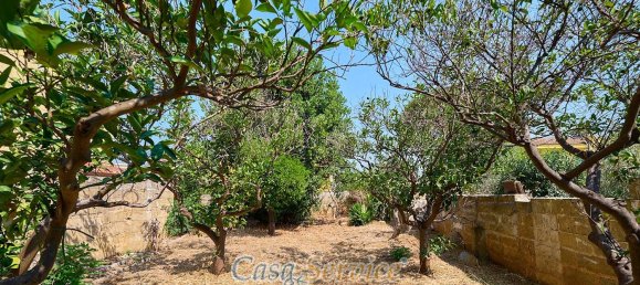 7 rooms House in Alezio, Italy No. 42362 38