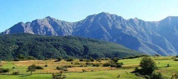 1 bedroom Apartment in Carrara, Italy No. 125191 12