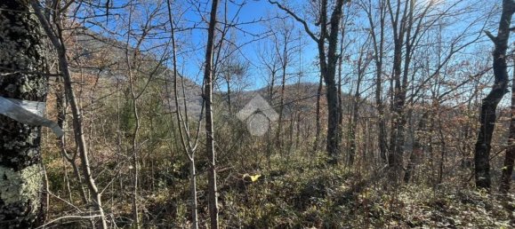  قطعة أرض في Cervara di Roma, Italy رقم 334813 5