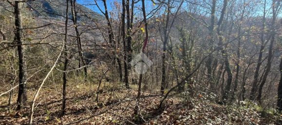  قطعة أرض في Cervara di Roma, Italy رقم 334813 9