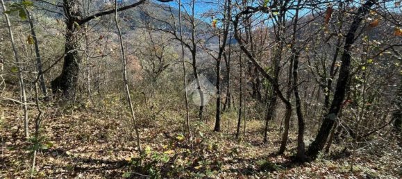  قطعة أرض في Cervara di Roma, Italy رقم 334813 10