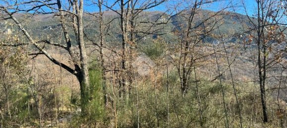  قطعة أرض في Cervara di Roma, Italy رقم 334813 11