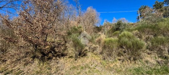  قطعة أرض في Cervara di Roma, Italy رقم 334813 14