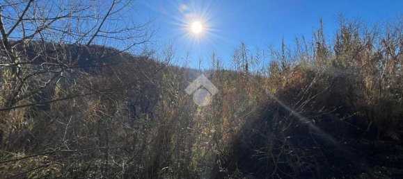  قطعة أرض في Cervara di Roma, Italy رقم 334813 2