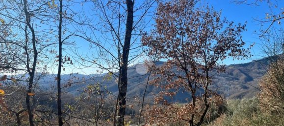  قطعة أرض في Cervara di Roma, Italy رقم 334813 15