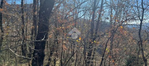  قطعة أرض في Cervara di Roma, Italy رقم 334813 8