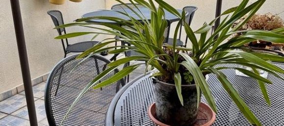 4 Schlafzimmer Villa in Pogliano Milanese, Italy, Nr. 327602 6