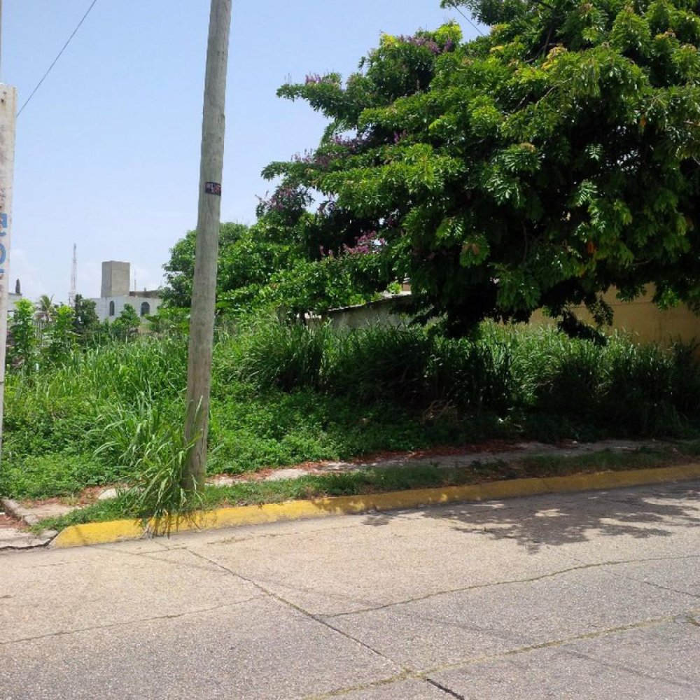  قطعة أرض في Veracruz, Mexico رقم 204841