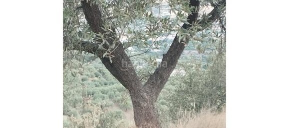 25000m² Land in Alcaucin, Spain No. 144826 3