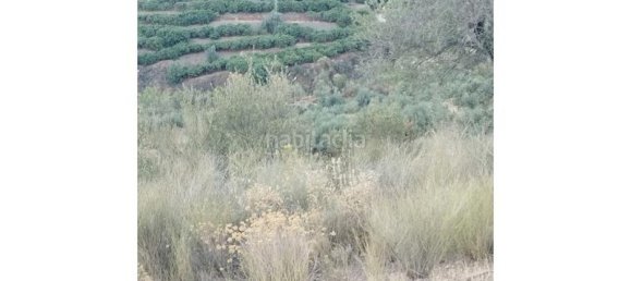 25000m² Land in Alcaucin, Spain No. 144826 7