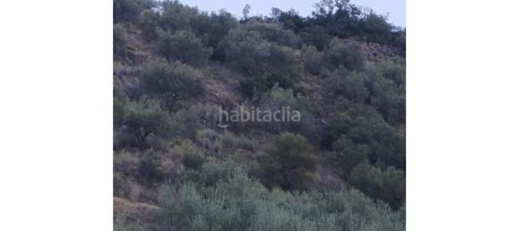 25000m² Land in Alcaucin, Spain No. 144826 9