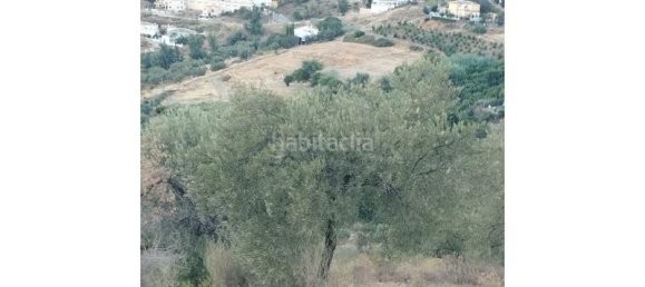 25000m² Land in Alcaucin, Spain No. 144826 4