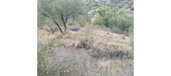 25000m² Land in Alcaucin, Spain No. 144826 5